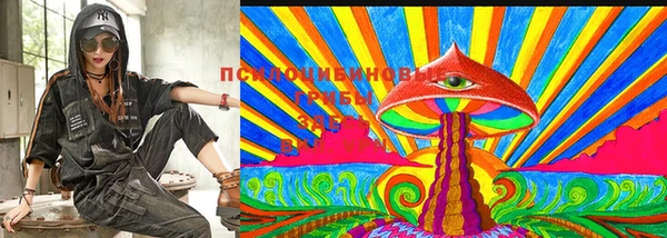 мет Краснослободск