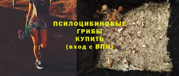 эйфоретик Алексин